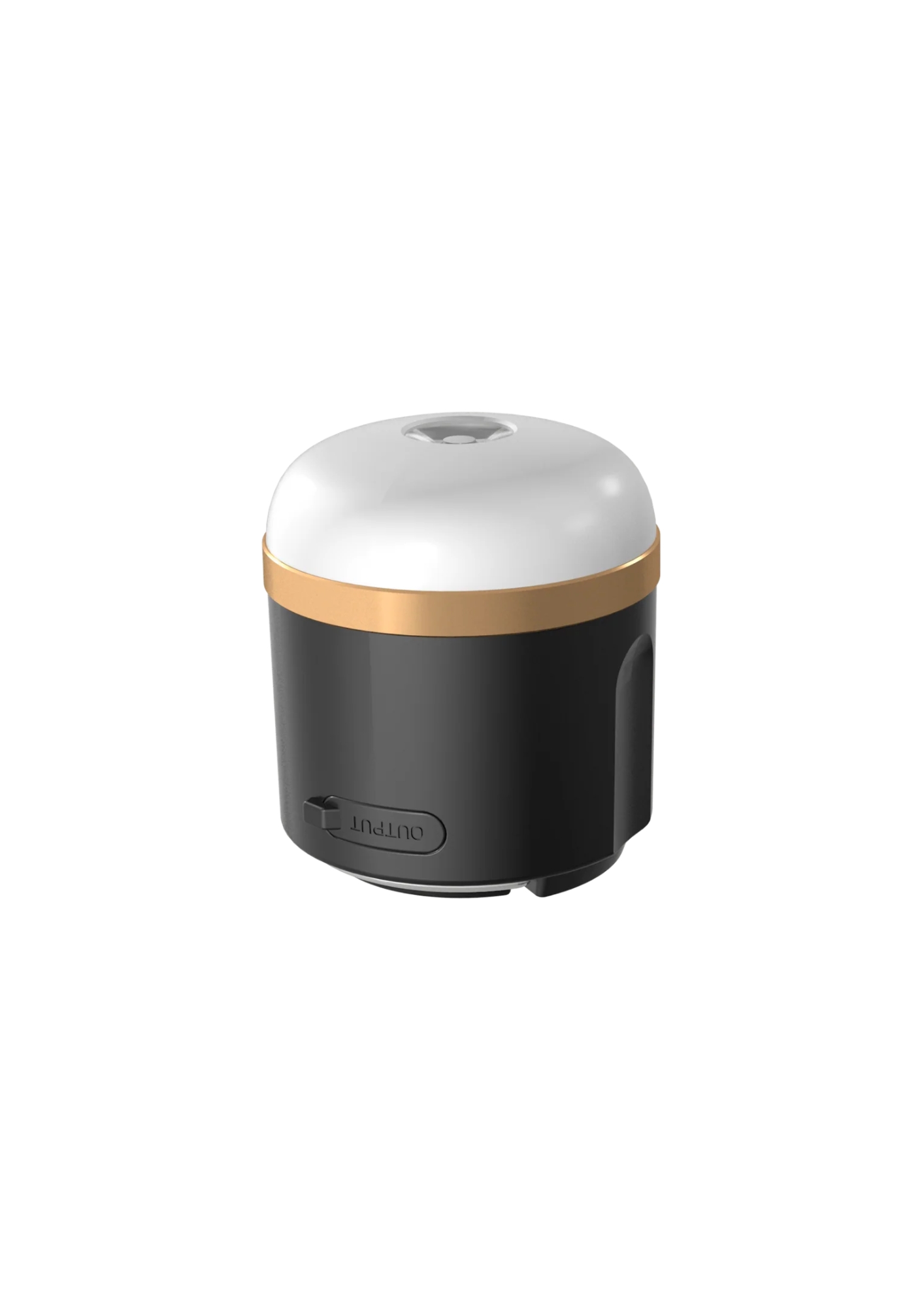 EcoFlow Camping Light